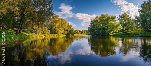 Tranquil river scene with lush green trees reflected in the still water.