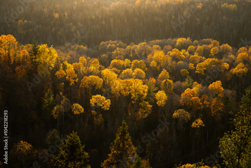 Autumn in Redbridge Northern Ontario photo