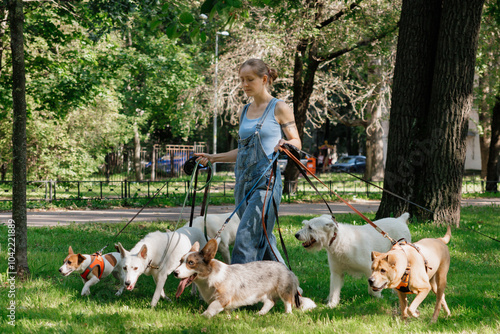 Photography young woman walks with dogs on lawn in park