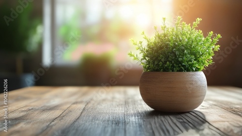 Bright indoor space with potted plant on wooden table surrounded by greenery ...