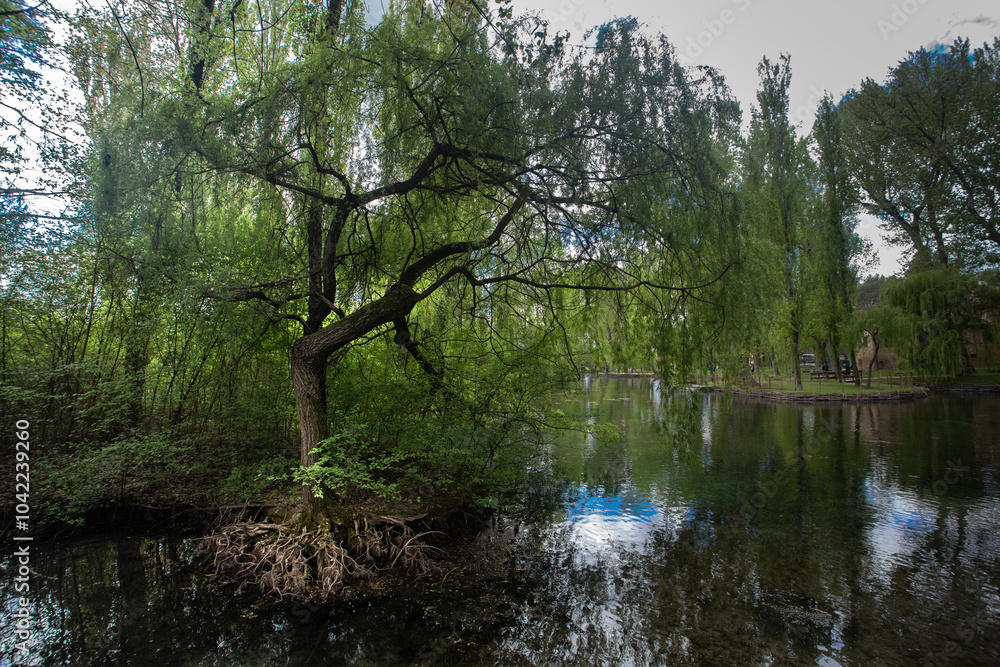 Obraz premium Fonti del Clitunno, detail on the central pond with green vegetation and clear water