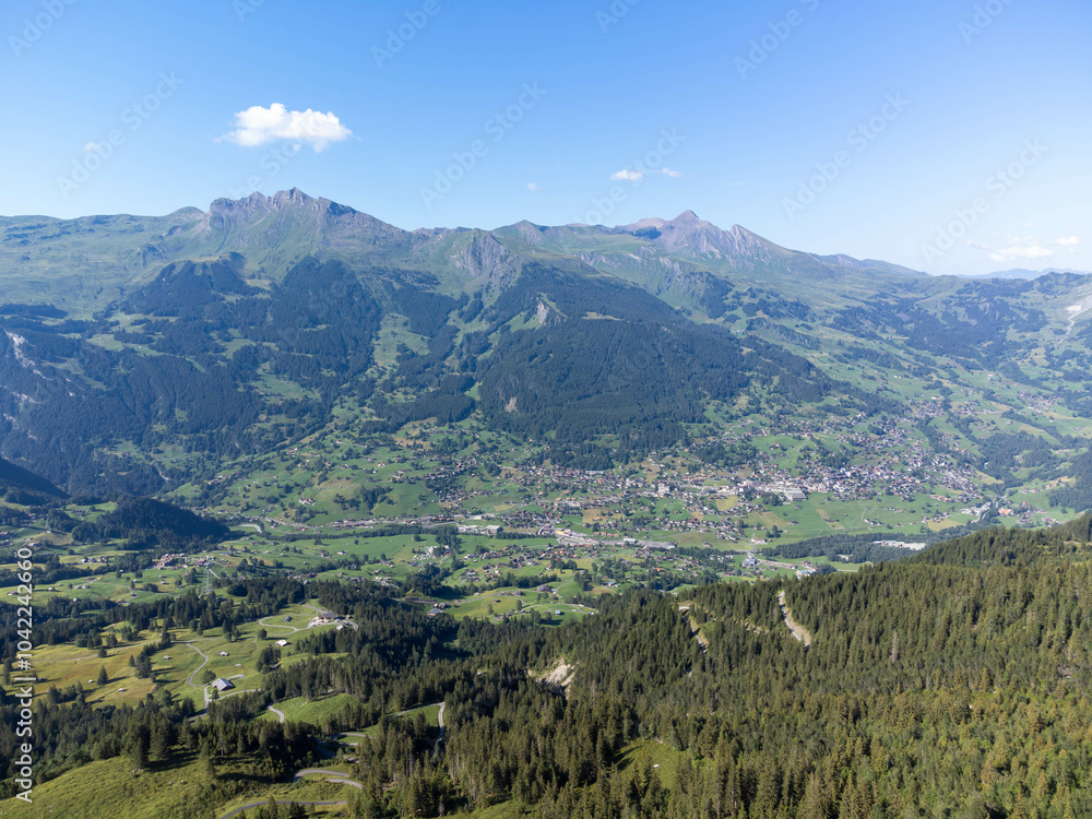 Naklejka premium Grindelwald Valley and Eiger Mountain: Aerial Perspective, Switzerland