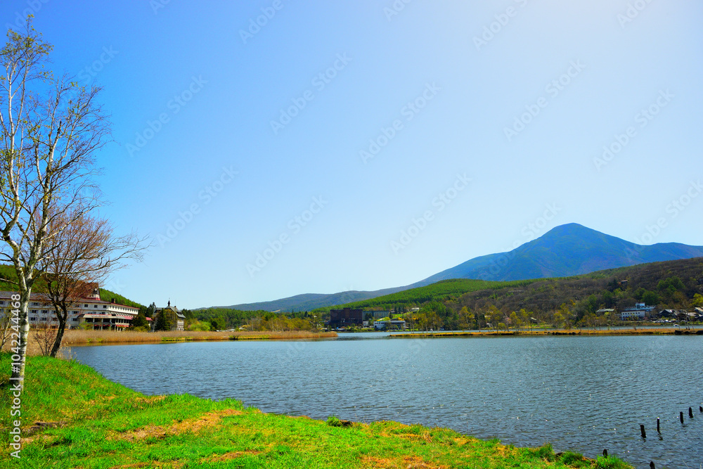 Fototapeta premium 白樺湖 長野県茅野市北山