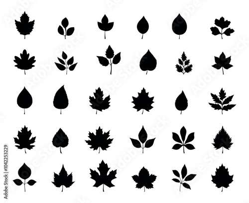 Autumn Leaves Black Silhouette Icons Set Featuring Various Leaf Shapes Including Maple Oak Birch And Aspen Leaves Displaying Unique Fall-Themed Craft Projects Seasonal Decorations