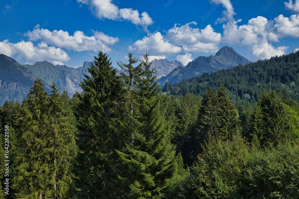 Fototapeta premium Oberstdorf, Allgäu, Fellhorn und Umgebung, Breitachtal