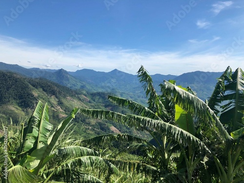 Vietnam lush greenery and mountain landscape 