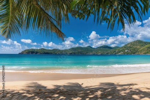 Panorama banner photo of idyllic tropical beach with palm tree