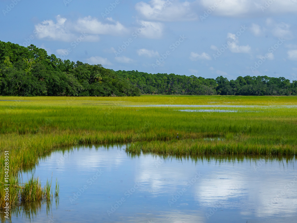 Low Country Marsh Low Country Marsh