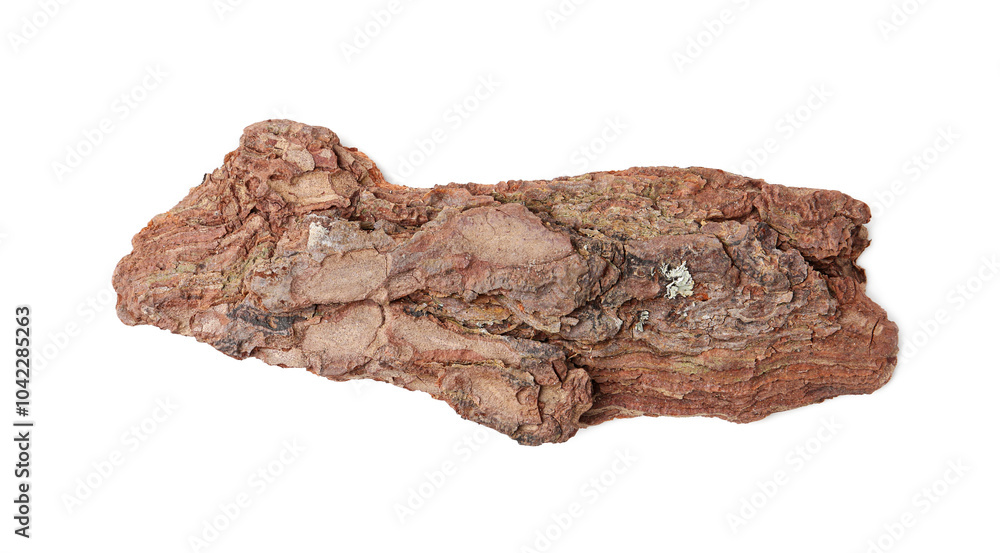 One piece of tree bark on white background, top view One piece of tree bark on white background, top view