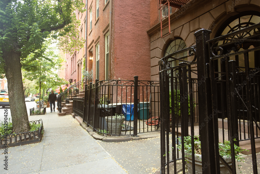 Obraz premium Charming Urban Street with Historic Brownstones 