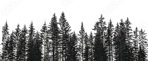 PNG Black-and-white forest silhouette