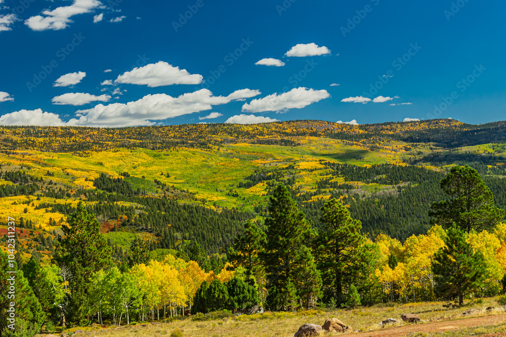Autumn in Escalante Autumn in Escalante