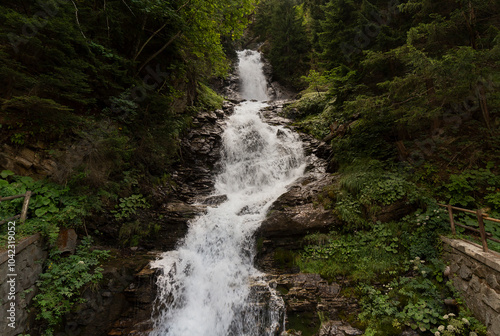 waterfall in the forest