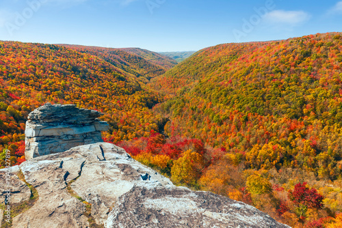 View from Lindy Point Overlook over Blackwater Canyon in Blackwater Falls State Park