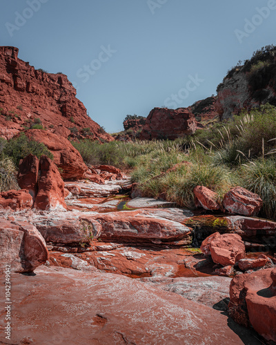 Quadro su tela A dry river leaves the marks of saltpeter on the red rocks.