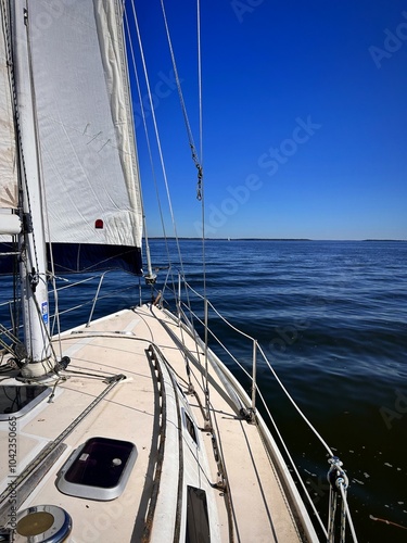 sailing on the sea