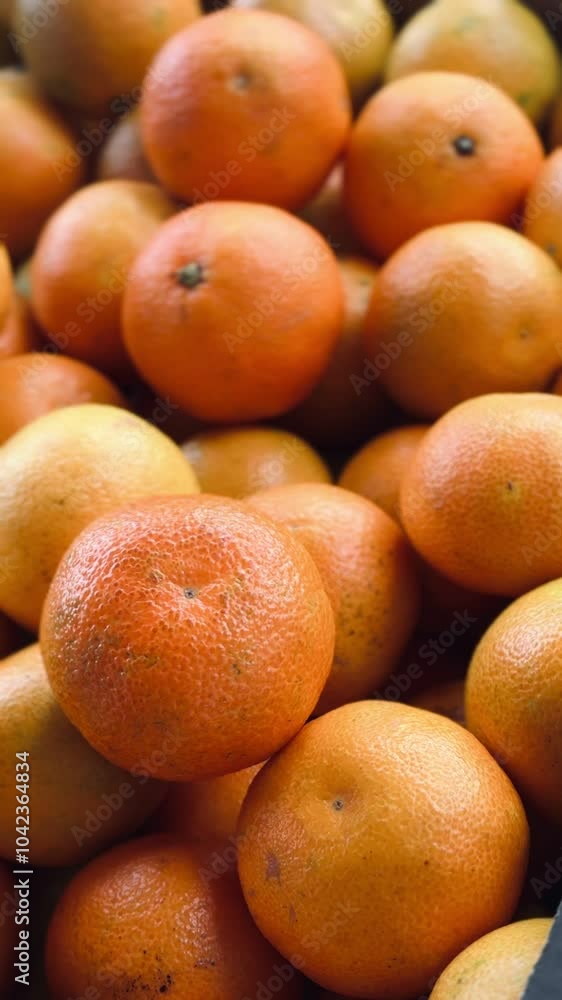 Fresh mandarin oranges fruit harvested.
Fresh mandarin oranges fruit harvested.