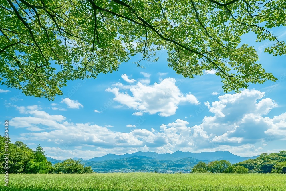 Fototapeta premium A vibrant green field stretches towards distant mountains under a clear, blue sky with scattered clouds overhead.