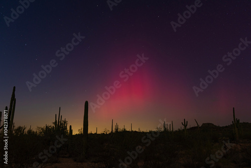 The northern lights over the Arizona desert