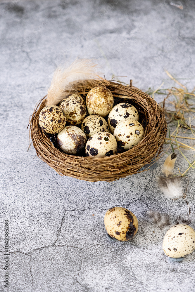 Fresh quail eggs. Rustic style Fresh quail eggs. Rustic style