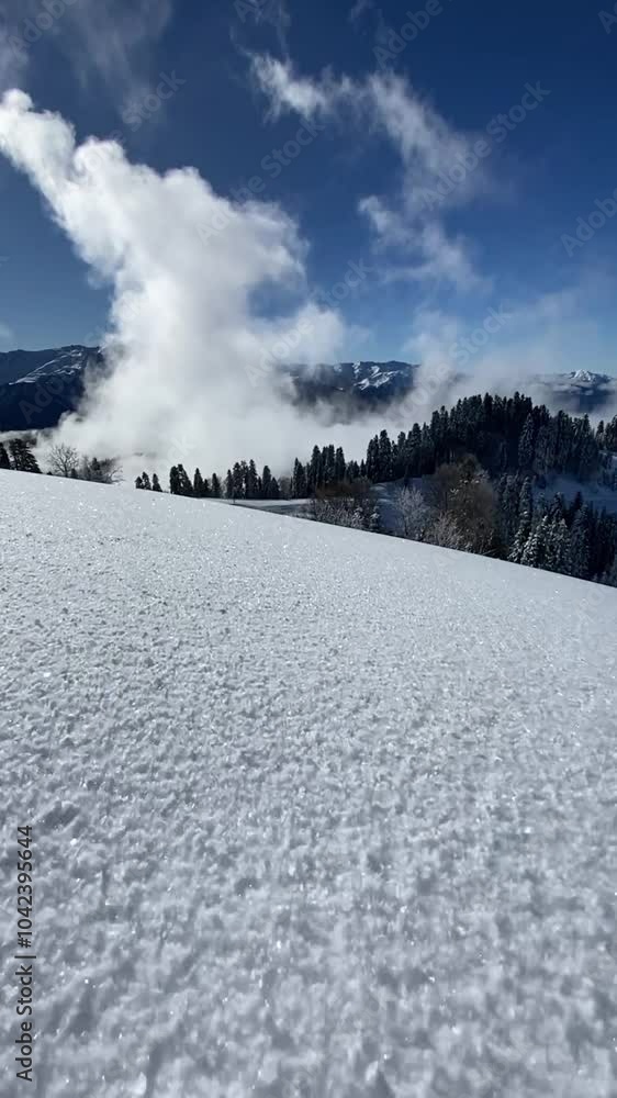 Snow sparkles in the sun like thousands of diamonds. White clouds float in the background. Fir trees in the snow after yesterday's snowfall. Vertical slow motion video. High quality FullHD footage Snow sparkles in the sun like thousands of diamonds. White clouds float in the background. Fir trees in the snow after yesterday's snowfall. Vertical slow motion video. High quality FullHD footage