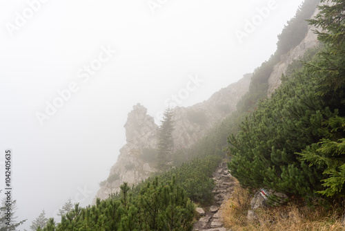 Hiking trail disappearing into thick mist with clouds draping the mountain ridges and green slopes. Concept of outdoor exploration, adventure trekking, and peaceful natural landscapes. High quality photo