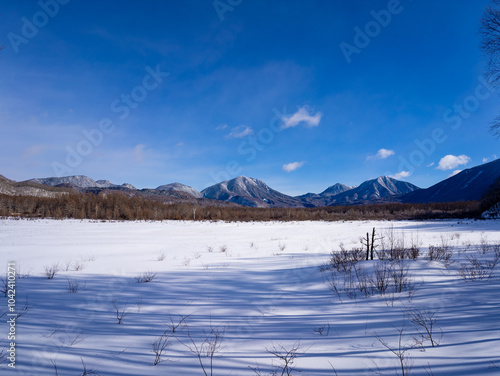 奥日光の雪景色 photo