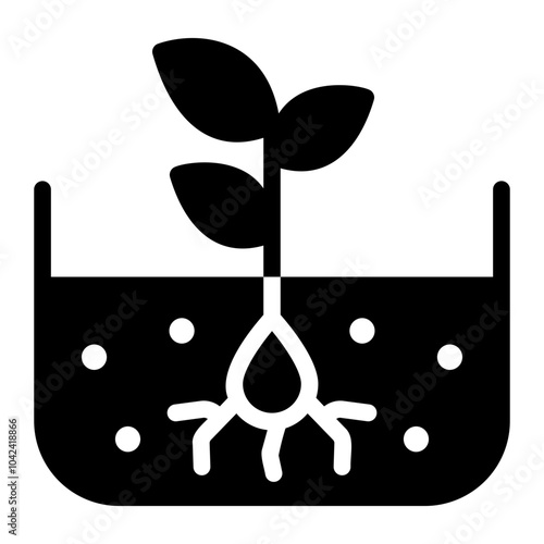 seeds