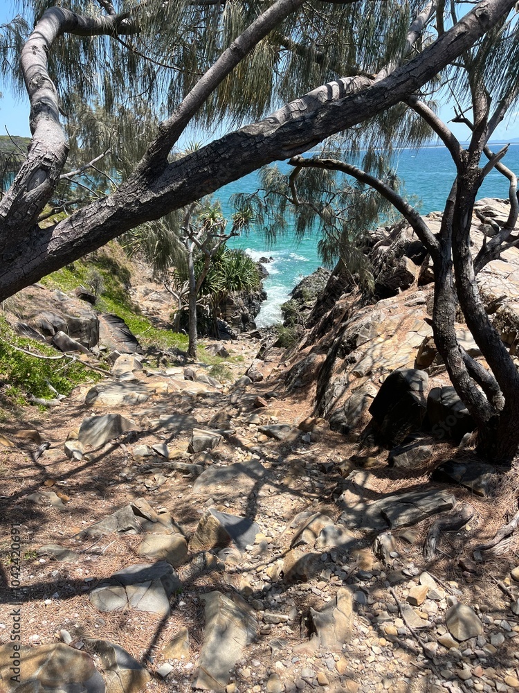 Trees and sea Trees and sea