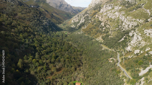 Vista panorámica de un exuberante valle entre montañas rocosas en un día soleado photo