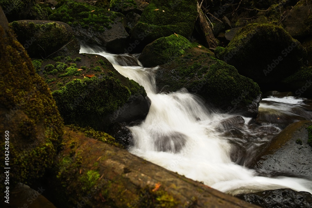 Naklejka premium Tranquil Stream Over Mossy Rocks