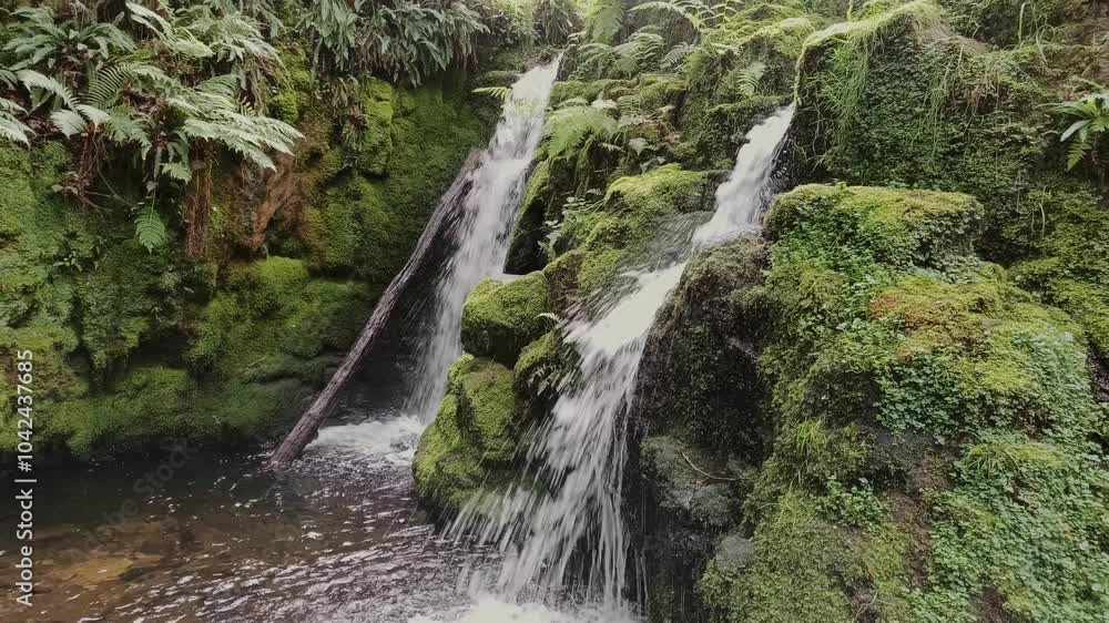 A waterfall and stream in a deep, narrow valley, surrounded by woodland, in the Dart Valley, Dartmoor National Park, Devon, England, United Kingdom, Europe A waterfall and stream in a deep, narrow valley, surrounded by woodland, in the Dart Valley, Dartmoor National Park, Devon, England, United Kingdom, Europe