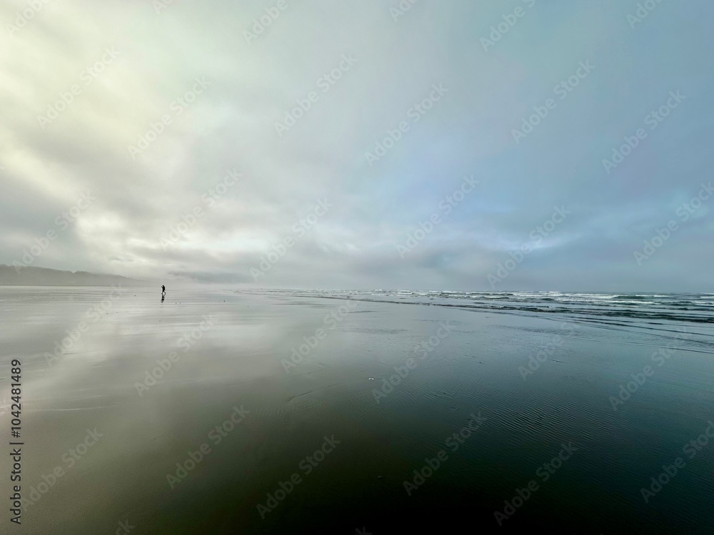 walking on the coast of the Pacific Ocean walking on the coast of the Pacific Ocean