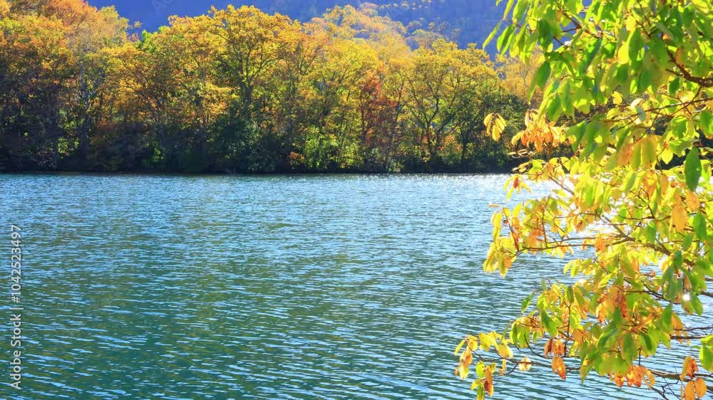 autumn landscape with lake autumn landscape with lake