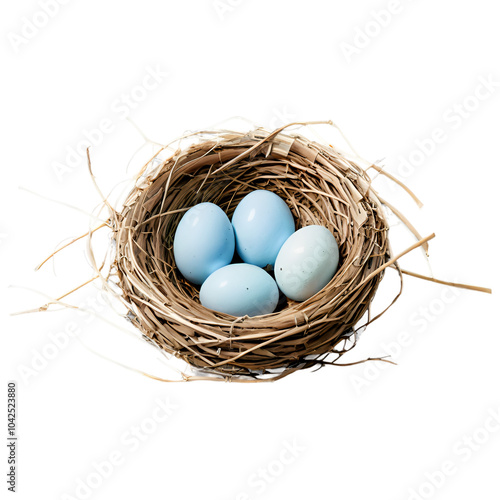 A nest of serenity discover the beauty and symbolism of blue eggs in nature's embrace