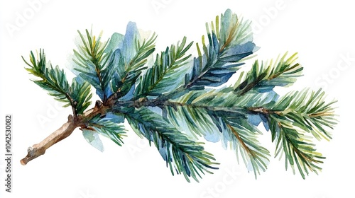 Isolated coniferous branch featuring pine and spruce suitable for product design related to festive occasions Hand painted watercolor clip art illustration
