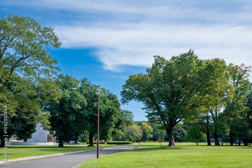 公園・広場 公園・広場