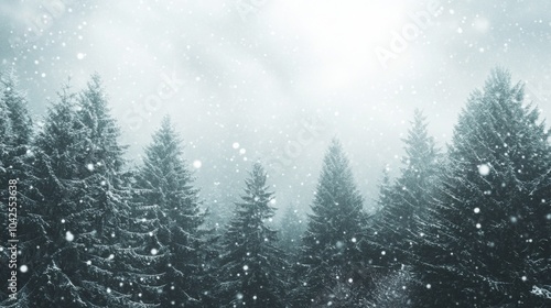 Wallpaper Mural In the heart of winter, tall pine trees stand clothed in white, while soft snowflakes drift from a grey sky, creating a serene ambiance illuminated by gentle light filtering through the clouds. Torontodigital.ca