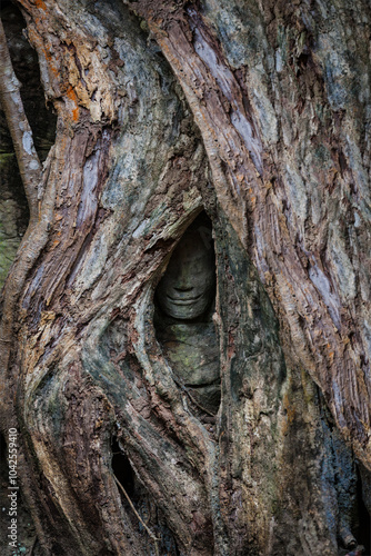 Travel Cambodia concept background - ancient statue covered under tree roots, Ta Prohm temple, Angkor, Cambodia
