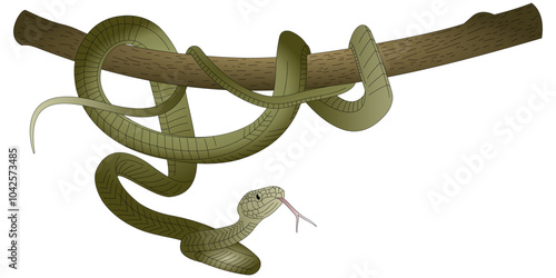 green snake illustration vector design hanging on a tree branch