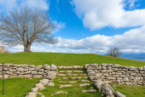 A bare tree standing atop a grassy hill, under a bright blue sky with scattered clouds. Stone steps lead up to the tree, bordered by rustic stone walls