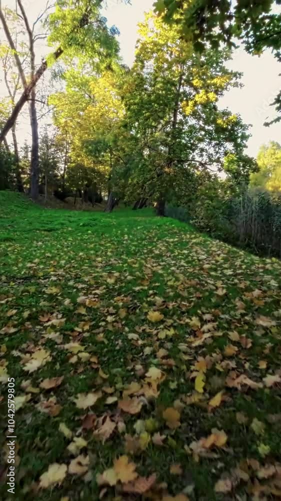Experience the thrill of flying through a stunning autumn forest in this FPV drone video. Watch as the vibrant colors of the leaves create a breathtaking backdrop for your flight. Youll feel like Experience the thrill of flying through a stunning autumn forest in this FPV drone video. Watch as the vibrant colors of the leaves create a breathtaking backdrop for your flight. Youll feel like