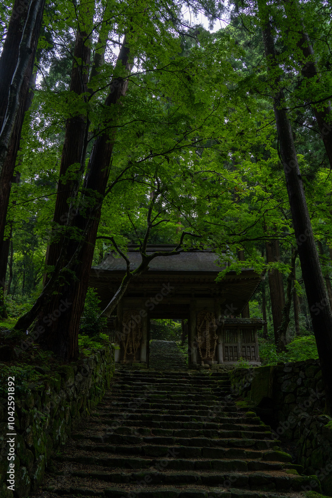 Hyakusaiji temple in Shiga, Japan Hyakusaiji temple in Shiga, Japan