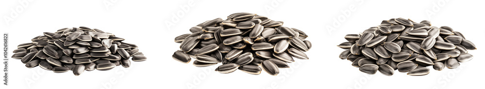 High-Quality PNG sunflower seed; isolated on white background; full depth of field – High Resolution High-Quality PNG sunflower seed; isolated on white background; full depth of field – High Resolution