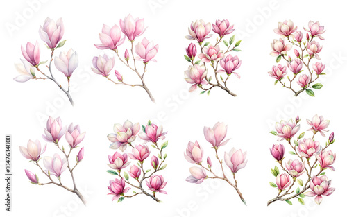 Magnolia Flowers Watercolor Set - Isolated Magnolia Branches on White Background