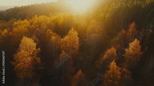 A serene sunset over a forest with vibrant autumn foliage.