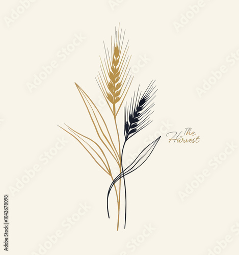 Wheat stalks illustration with text The Harvest. 
