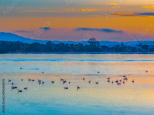 Sunrise waterscape over the bay with birdlife and smoke haze