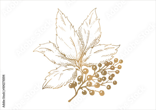 木の実と枝葉の線画イラスト　秋から冬の植物　金色のベクター素材