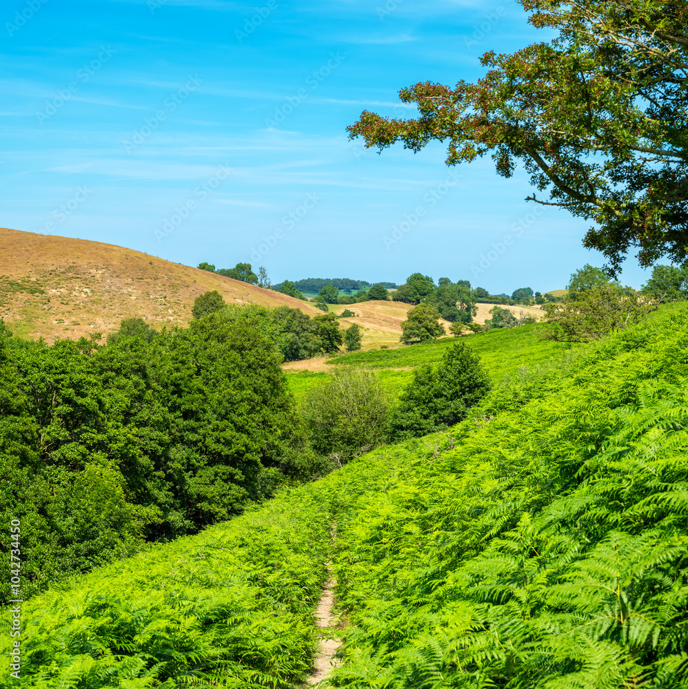 Natural landscape of Shropshire, England